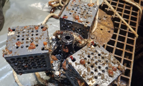 MiCorFe – Korrosionsanalyse und Werkstoffeinfluss auf die mikrobielle Korrosion an Offshoregründungen