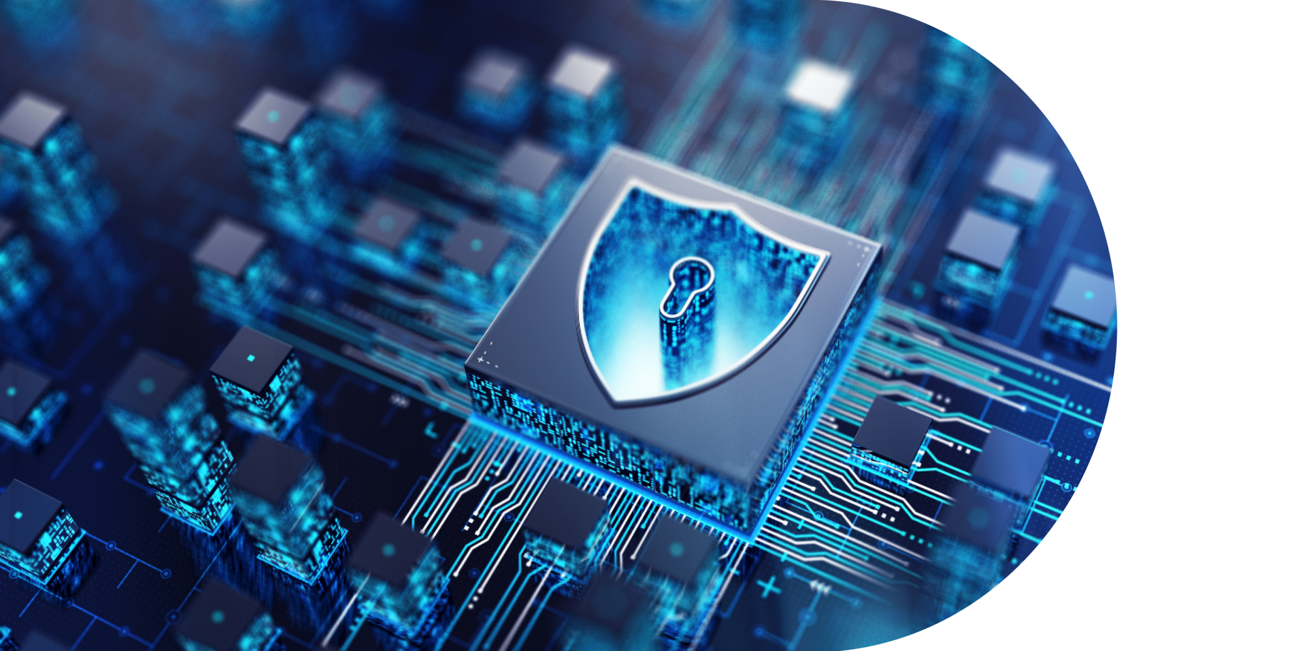 Cybersicherheit in SH: Schutz digitaler Werte inzwischen Teil der Lebensversicherung von Unternehmen