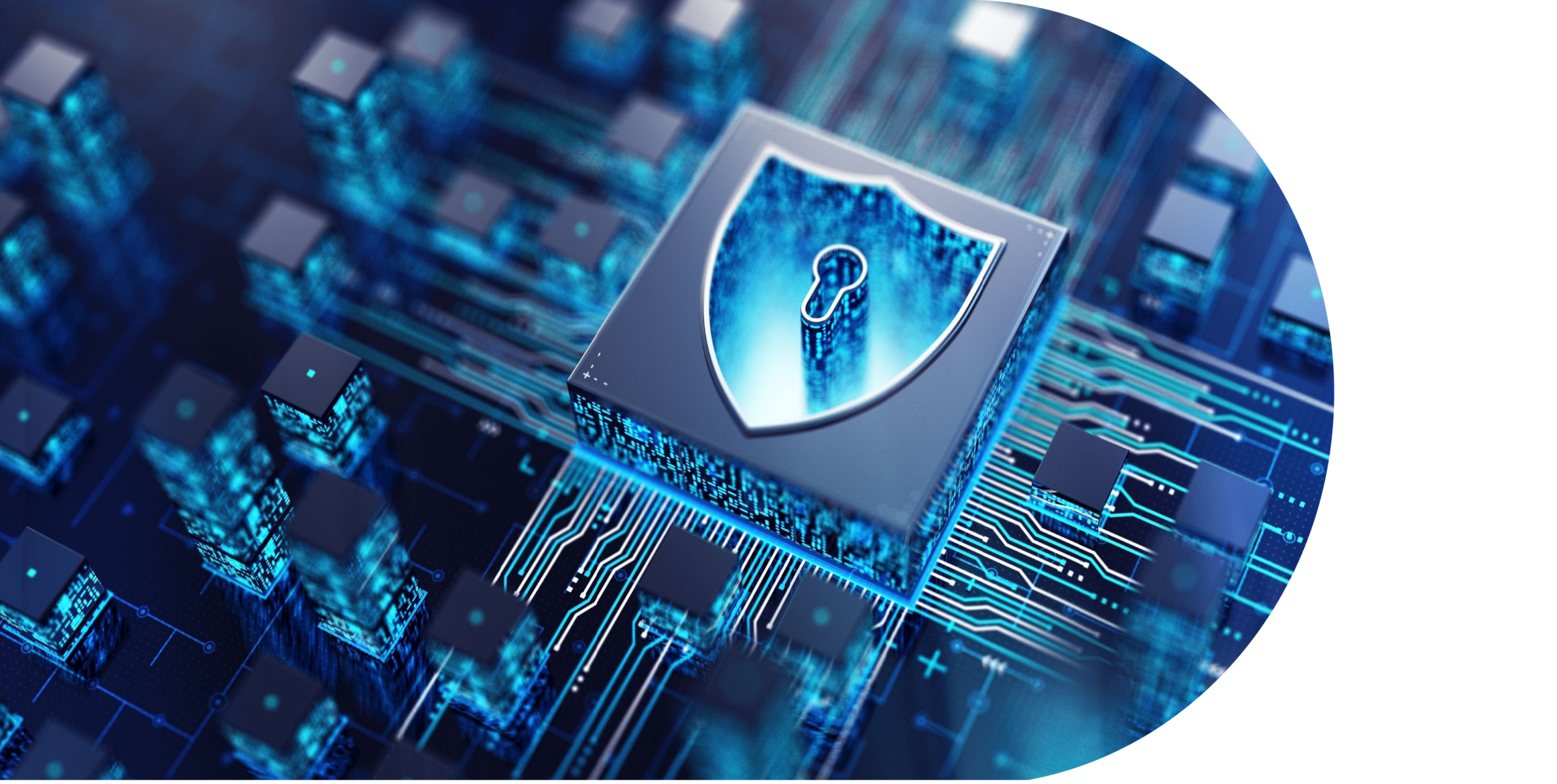Cybersicherheit in SH: Schutz digitaler Werte inzwischen Teil der Lebensversicherung von Unternehmen