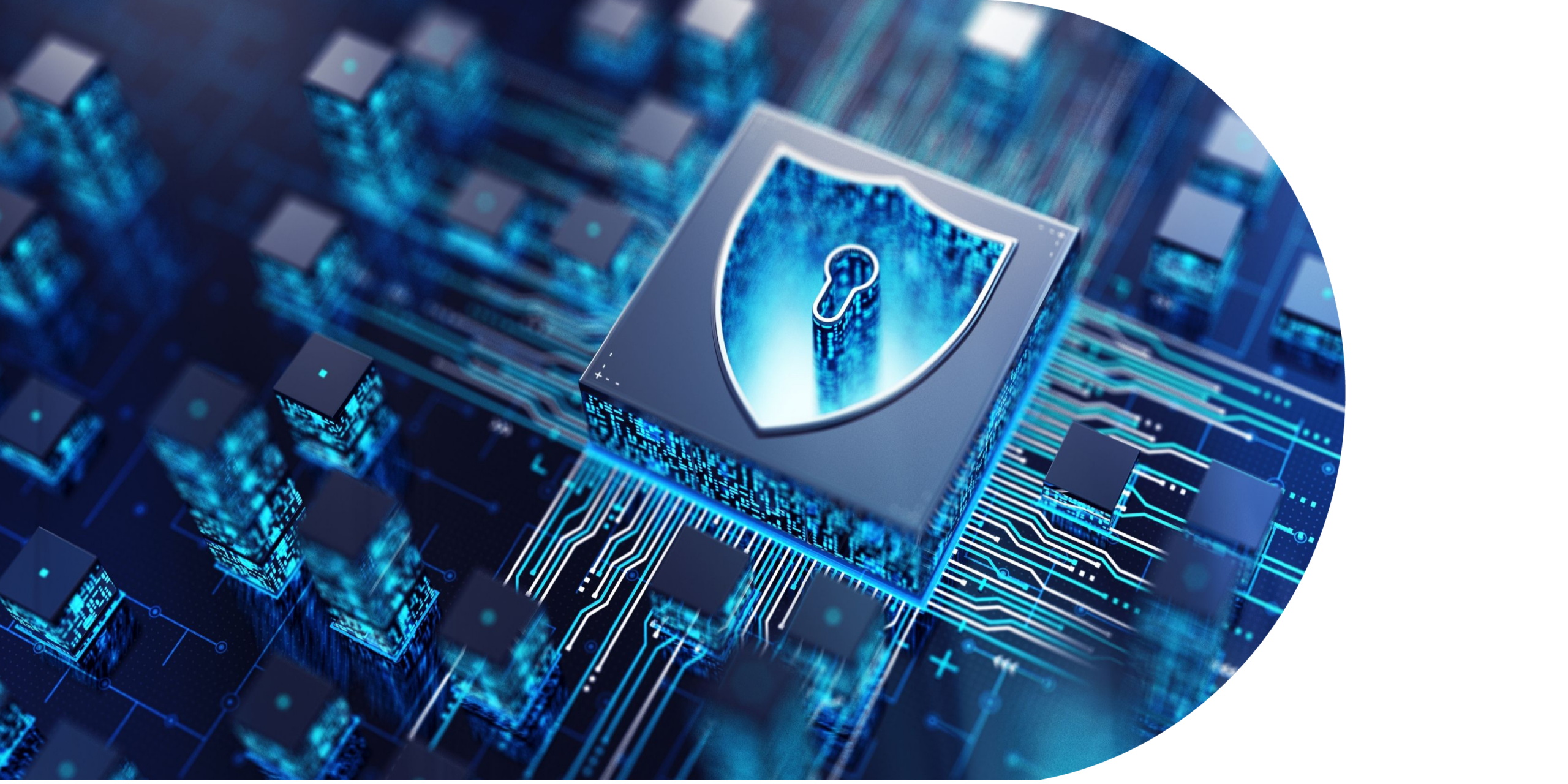Cybersicherheit in SH: Schutz digitaler Werte inzwischen Teil der Lebensversicherung von Unternehmen
